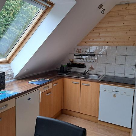 Apartment Erika Fužine Zewnętrze zdjęcie