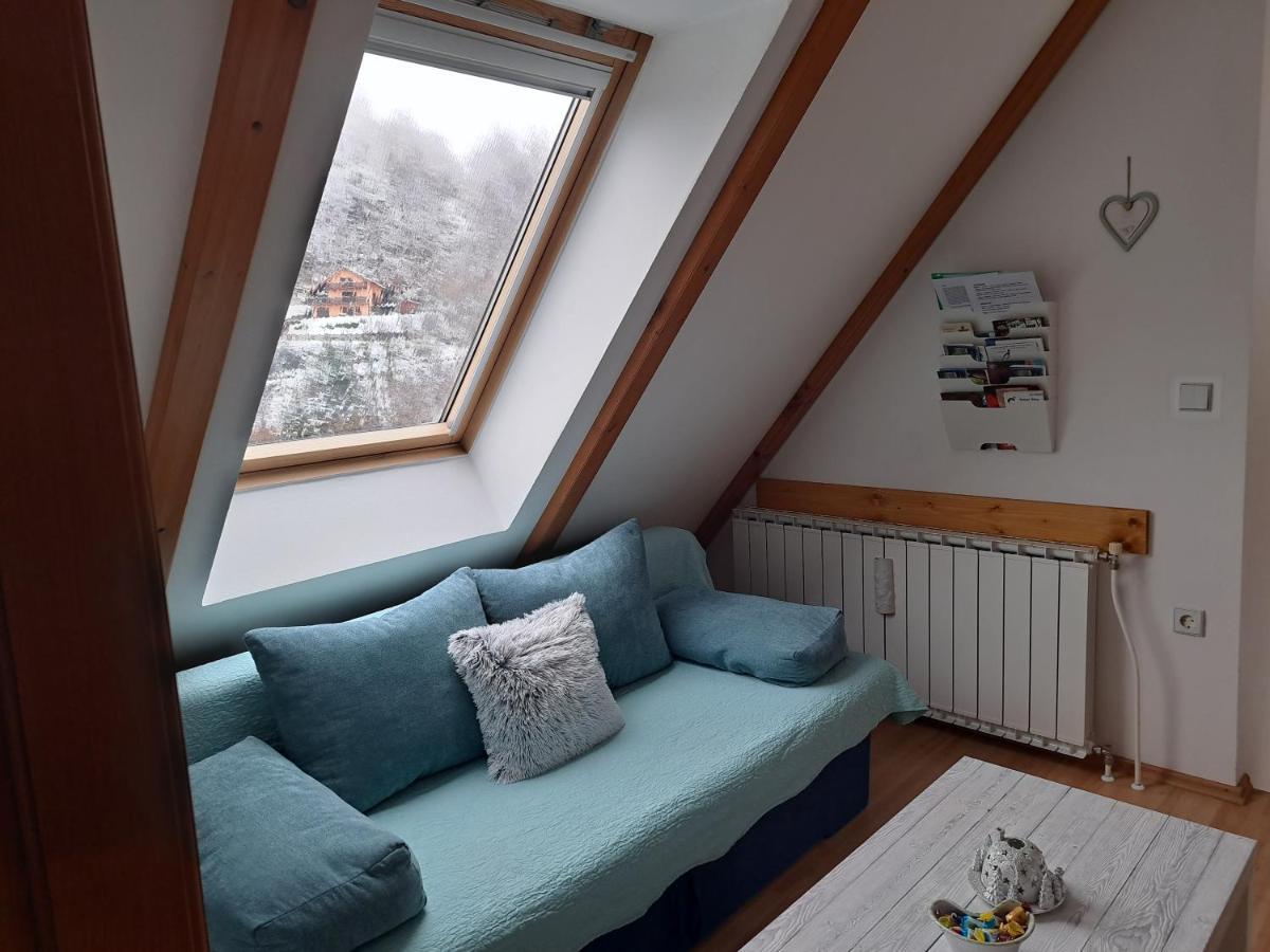 Apartment Erika Fužine Zewnętrze zdjęcie