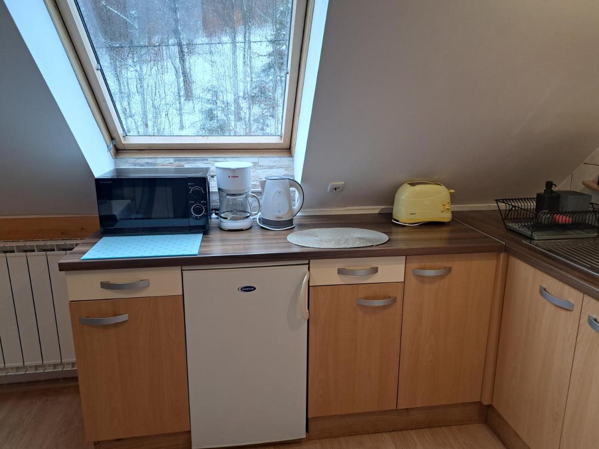 Apartment Erika Fužine Zewnętrze zdjęcie
