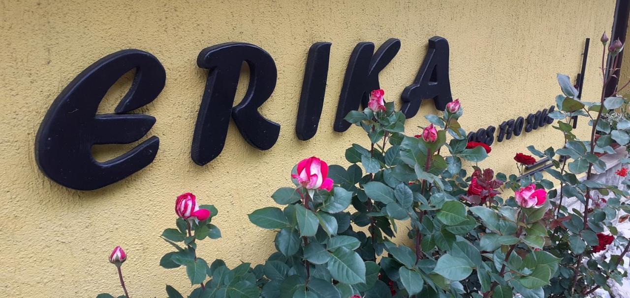 Apartment Erika Fužine Zewnętrze zdjęcie