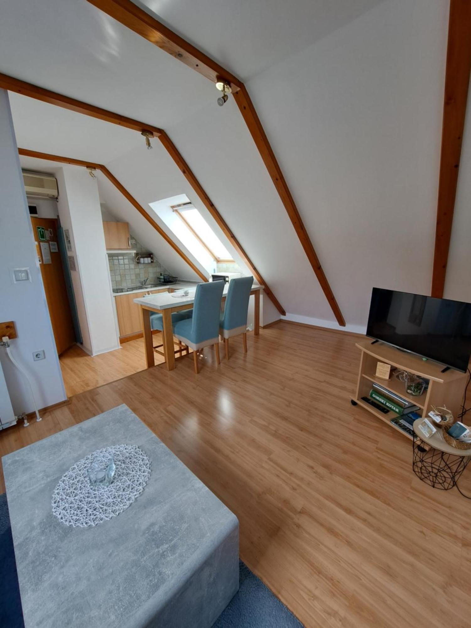 Apartment Erika Fužine Zewnętrze zdjęcie